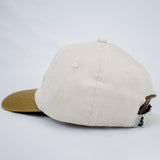 Stillknocks S Dad C ap-Ivory